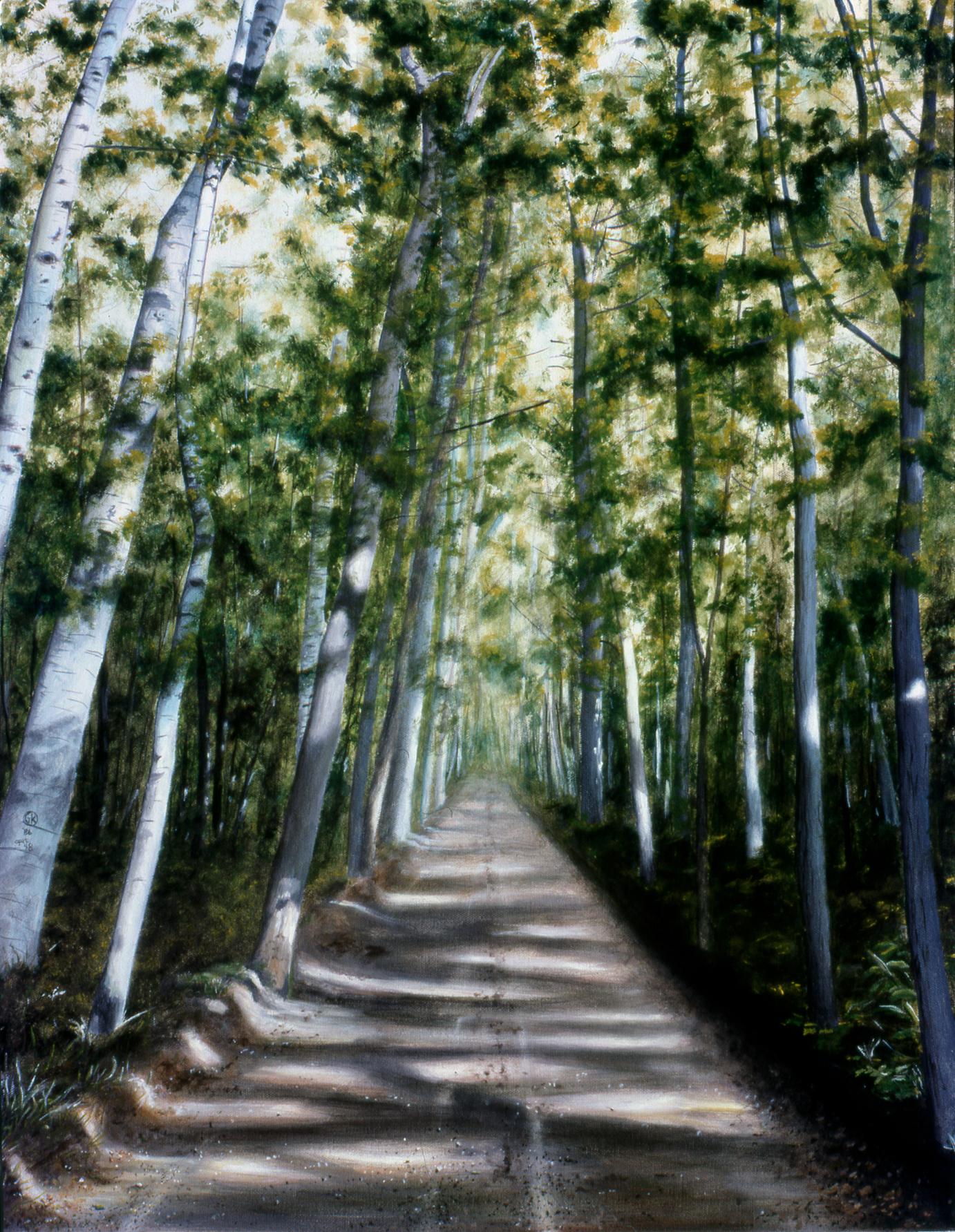 Forest Road